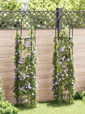Garden Arch Tower 2 pcs