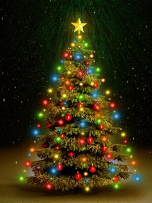 Christmas Tree Net Lights with 210 LEDs Colourful 210 cm